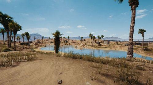 最新沙漠爆料消息今天,揭秘神秘遗迹背后的历史之谜